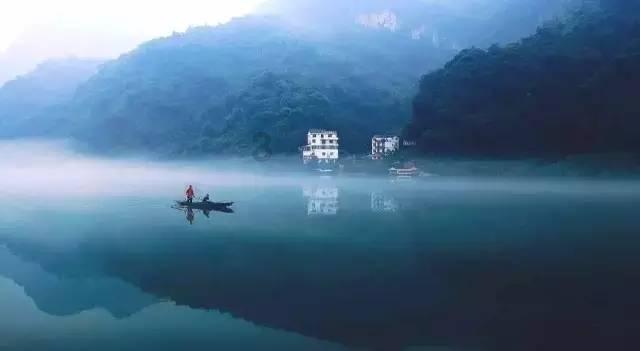 破碎的动物图形3