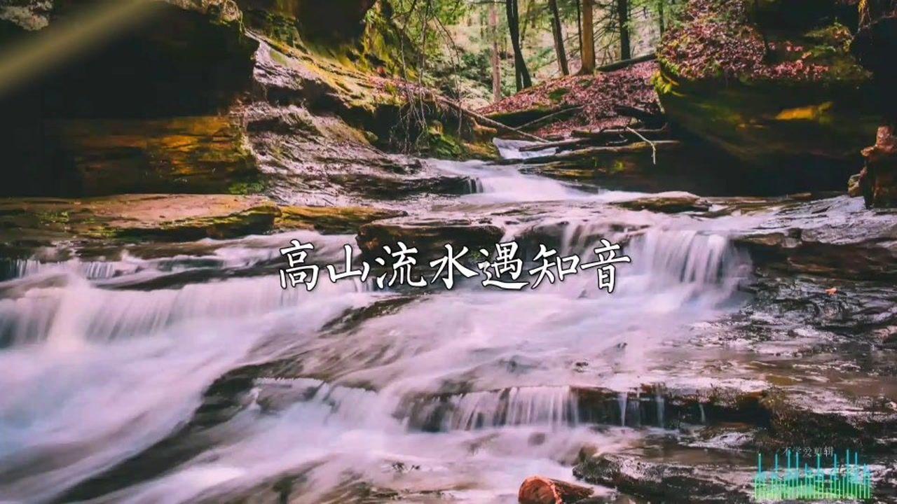 集邮者的收藏